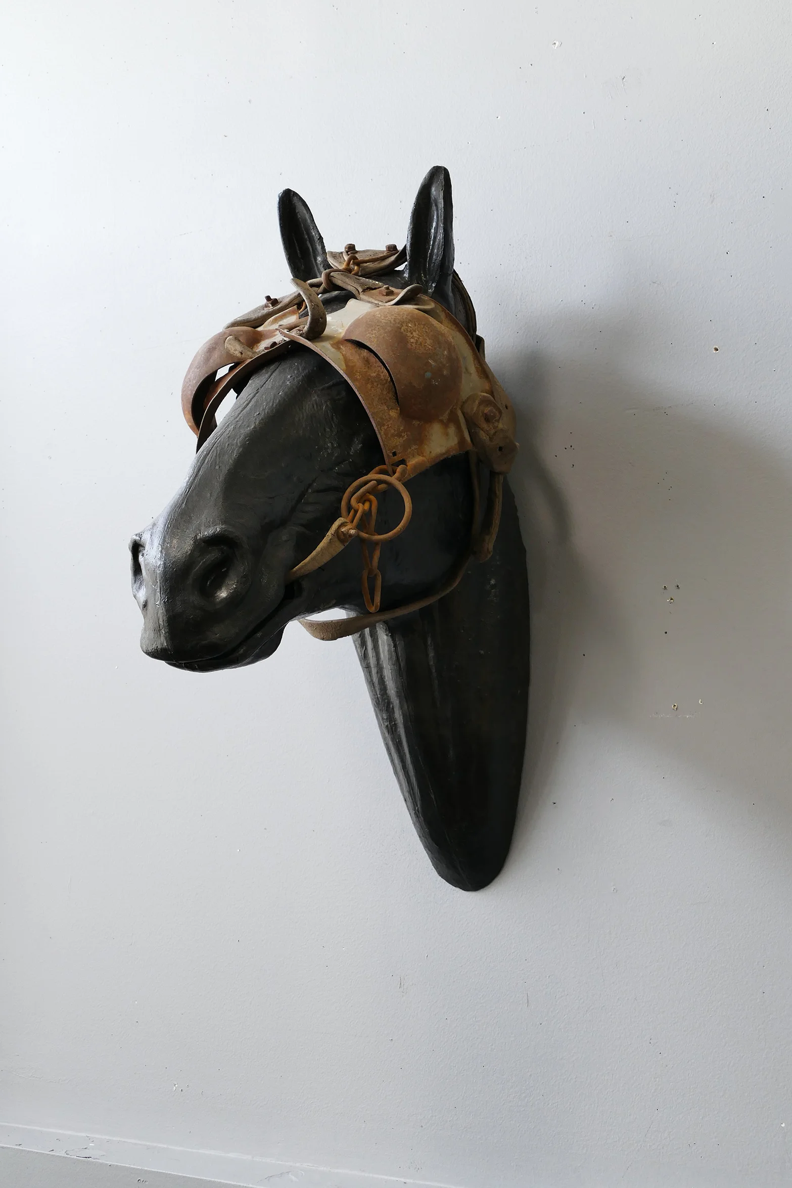 Horse with Blinders Display Mount — AGENT GALLERY CHICAGO
